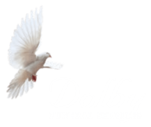 Dolby Funeral Services
